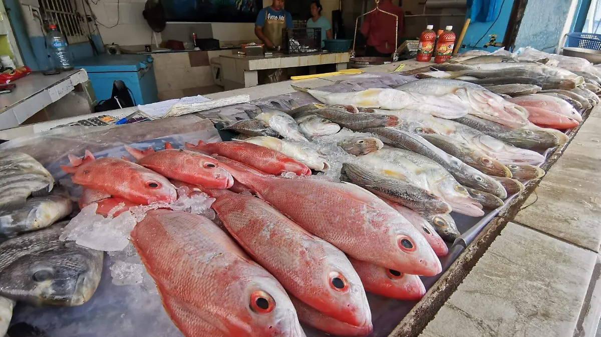 Sector salud exhorta cuidado en el consumo de pescados y mariscos Alfredo Márquez  (1)